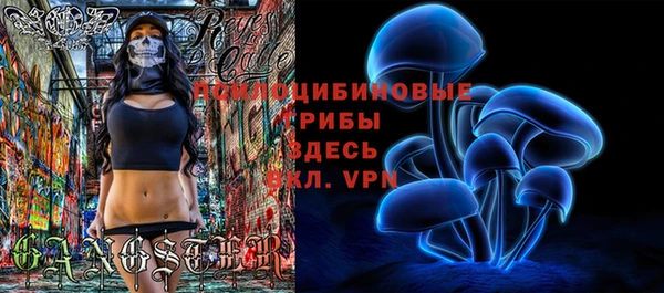 первитин Арсеньев